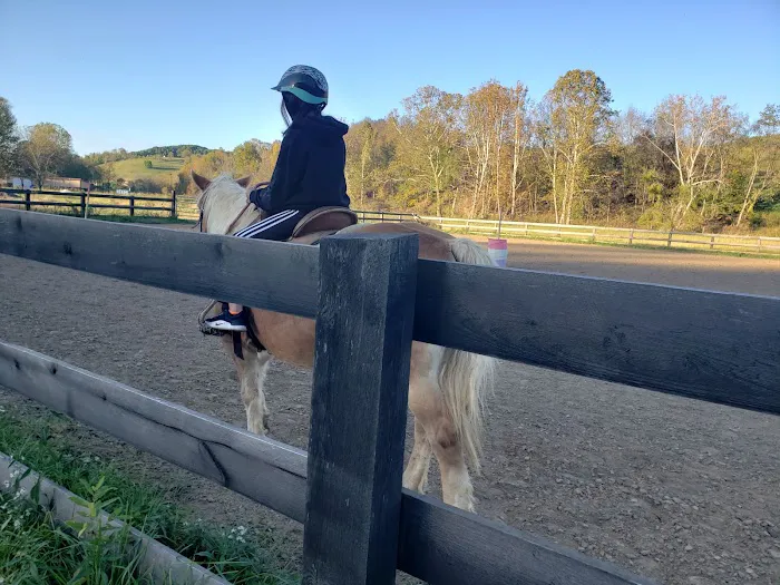 Lemley RV & Mobile Home Park Picture 6