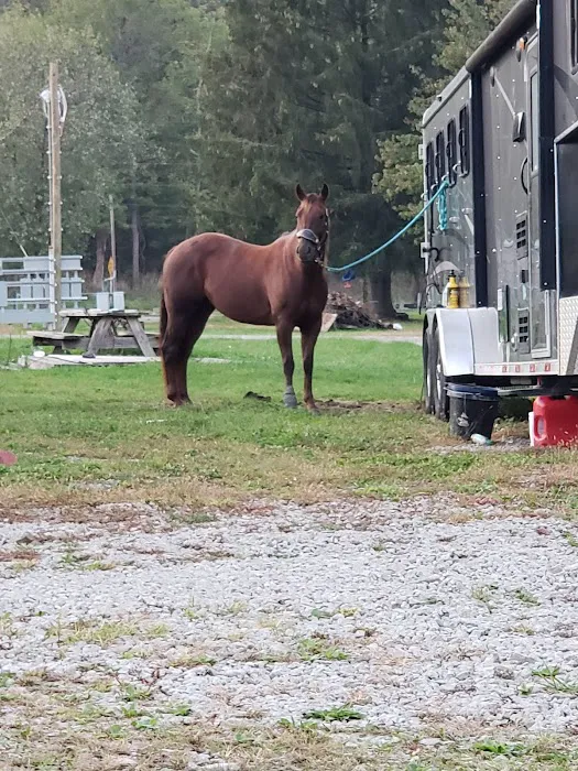 Lemley RV & Mobile Home Park Picture 8