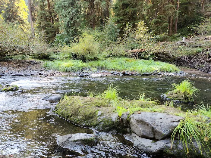 Big Pool Campground Picture 1