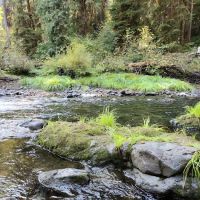 Big Pool Campground ico