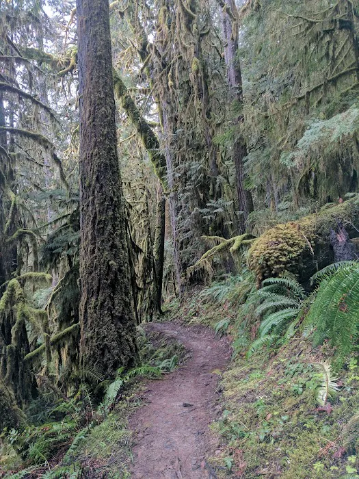 Big Pool Campground Picture 9