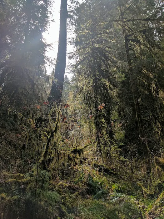 Big Pool Campground Picture 8