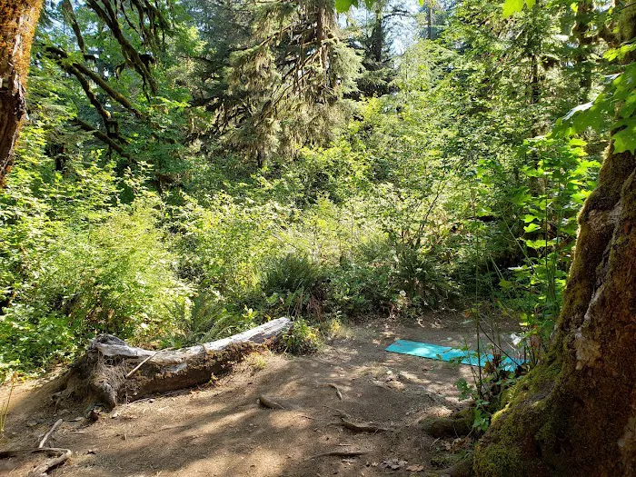 Big Pool Campground Picture 2