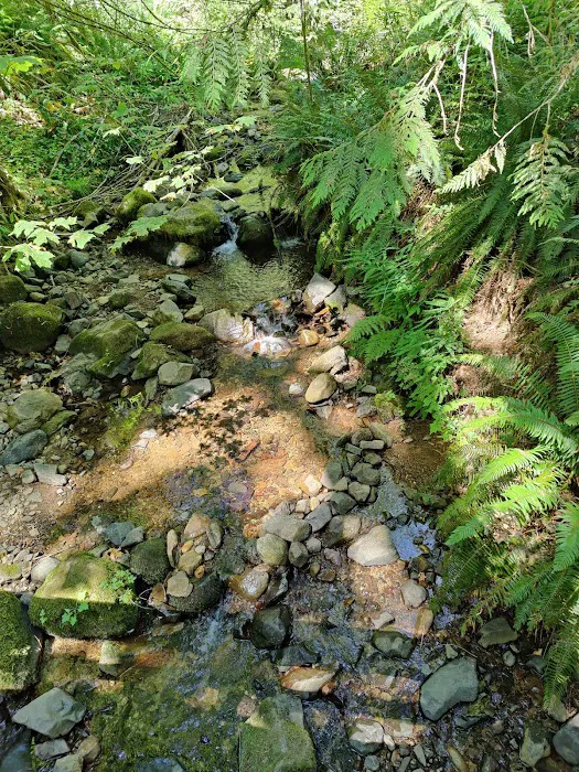 Clark Creek Organization Campground Picture 4