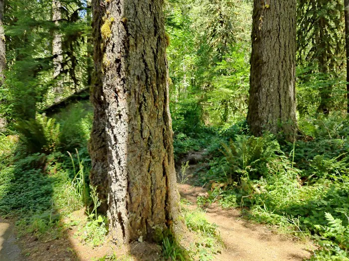 Clark Creek Organization Campground Picture 1