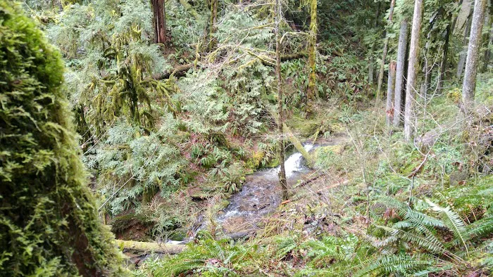 Clark Creek Organization Campground Picture 10