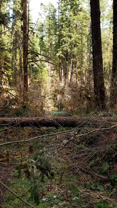 Dolly Varden Campground Picture 3