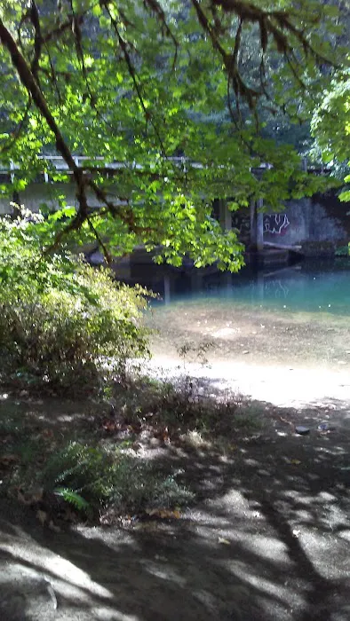 Dolly Varden Campground Picture 9