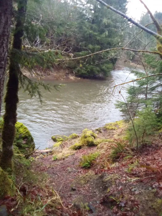 Dolly Varden Campground Picture 6