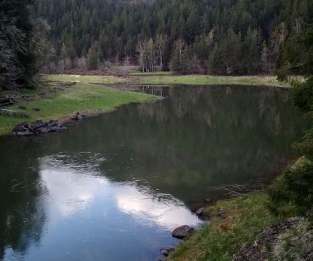 Fisherman's Point Group Camp