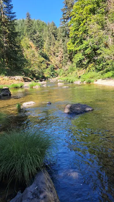 Fisherman's Point Group Camp Picture 5
