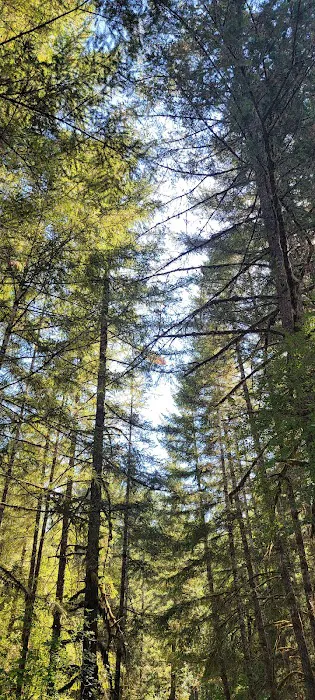 Upper End Campground Picture 3