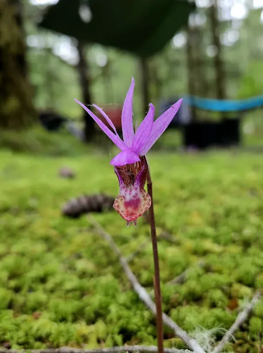 Upper End Campground Picture 2