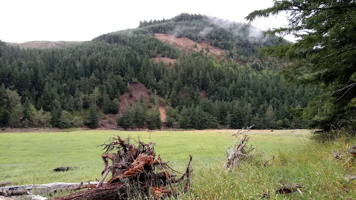 Upper End Campground Picture 1