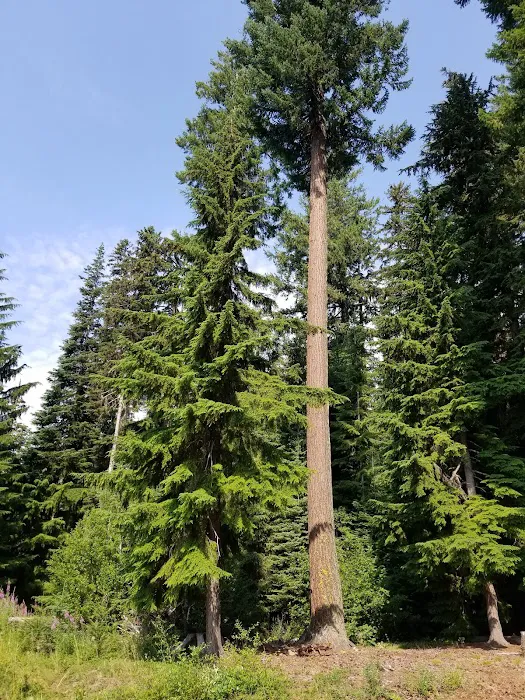 Princess Creek Campground Picture 5