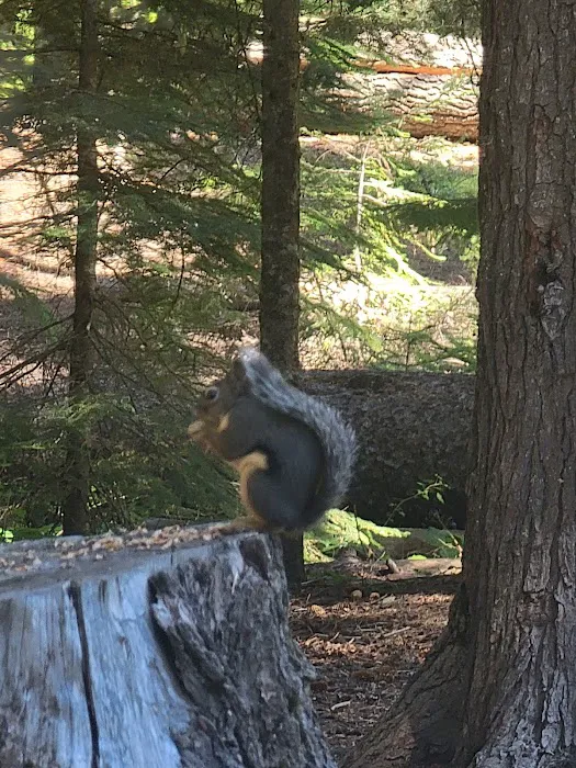 Princess Creek Campground Picture 2