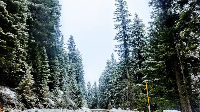 Princess Creek Campground Picture 9