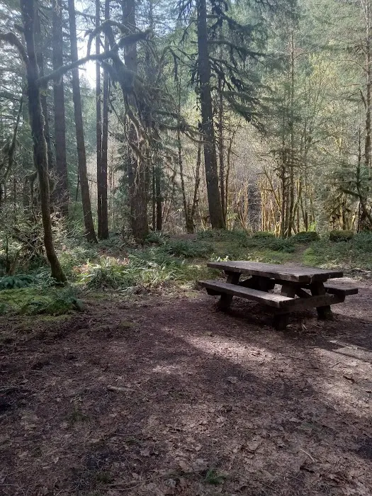 Mineral Camp Campground Picture 6