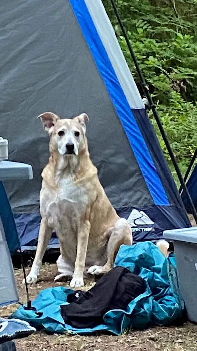 Mineral Camp Campground Picture 2