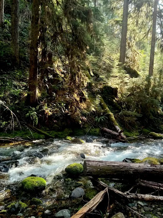 Mineral Camp Campground Picture 4