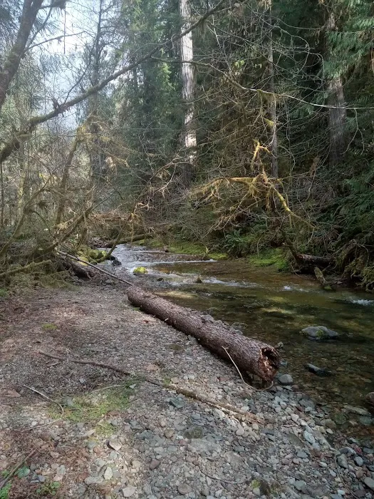 Mineral Camp Campground Picture 1