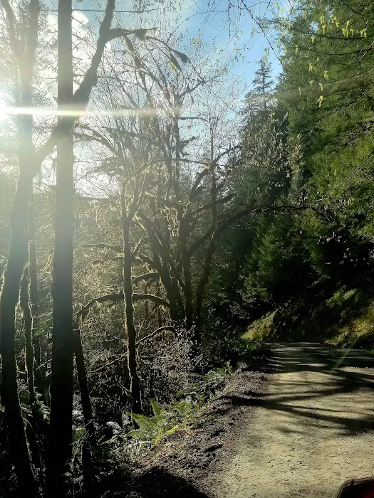 Mineral Camp Campground Picture 5