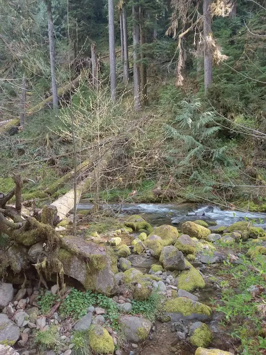 Mineral Camp Campground Picture 8