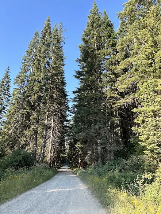 BUMBLEBEE CAMPGROUND (recgovnpsdata) Picture 4