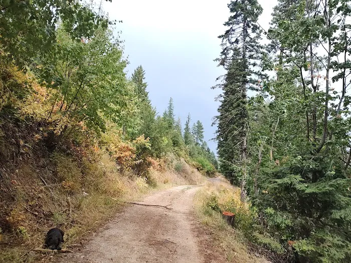 BUMBLEBEE CAMPGROUND (recgovnpsdata) Picture 1
