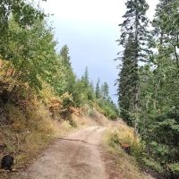 BUMBLEBEE CAMPGROUND (recgovnpsdata) ico