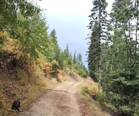 BUMBLEBEE CAMPGROUND (recgovnpsdata)