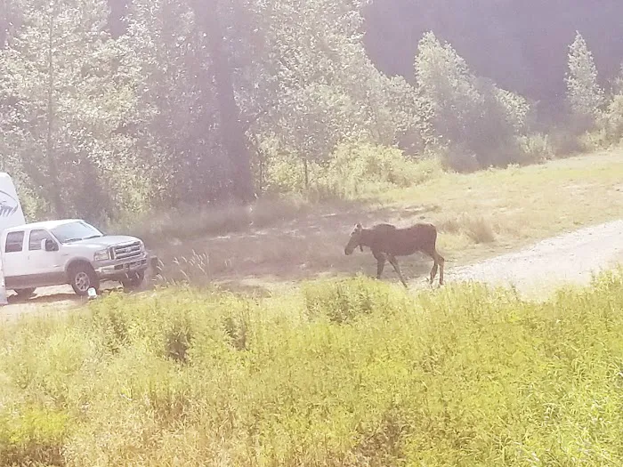 BUMBLEBEE CAMPGROUND (recgovnpsdata) Picture 9