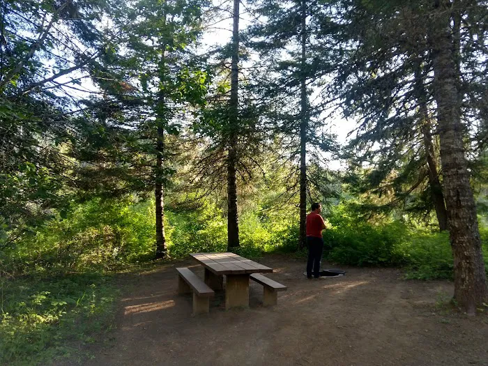 BUMBLEBEE CAMPGROUND (recgovnpsdata) Picture 10