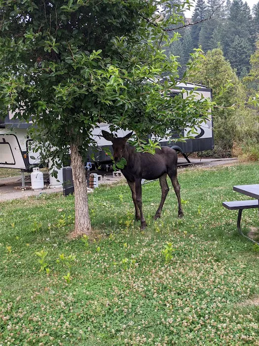 By The Way Campground Picture 5