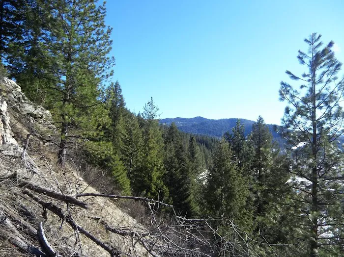 By The Way Campground Picture 6