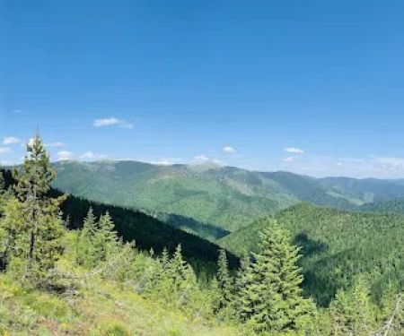 St. Joe Valley Resort