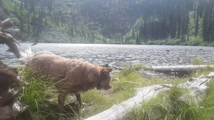 Porcupine Lake Campground Picture 1
