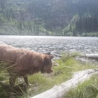 Porcupine Lake Campground ico