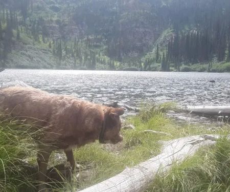 Porcupine Lake Campground