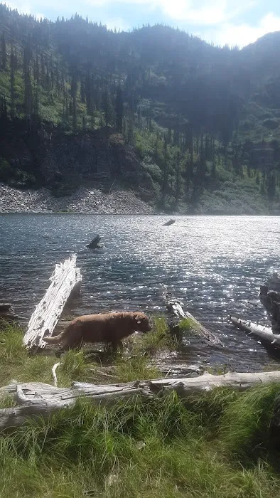 Porcupine Lake Campground Picture 2