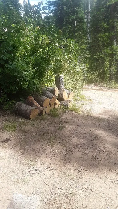 Porcupine Lake Campground Picture 3