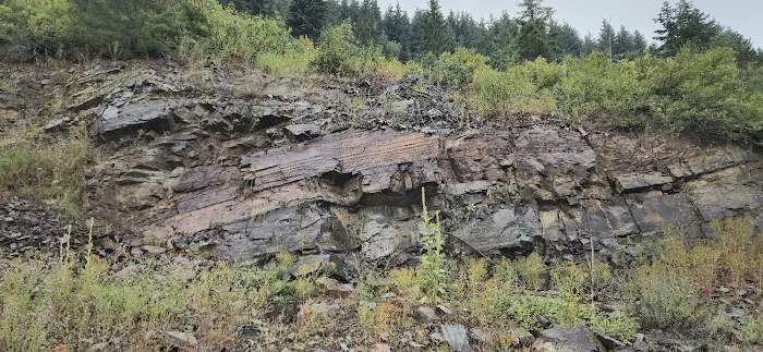 Porcupine Lake Campground Picture 9