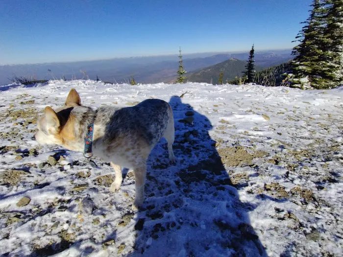 Lunch Peak Lookout Picture 5