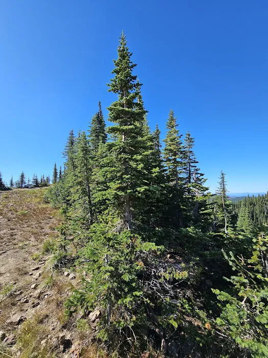 Lunch Peak Lookout Picture 8