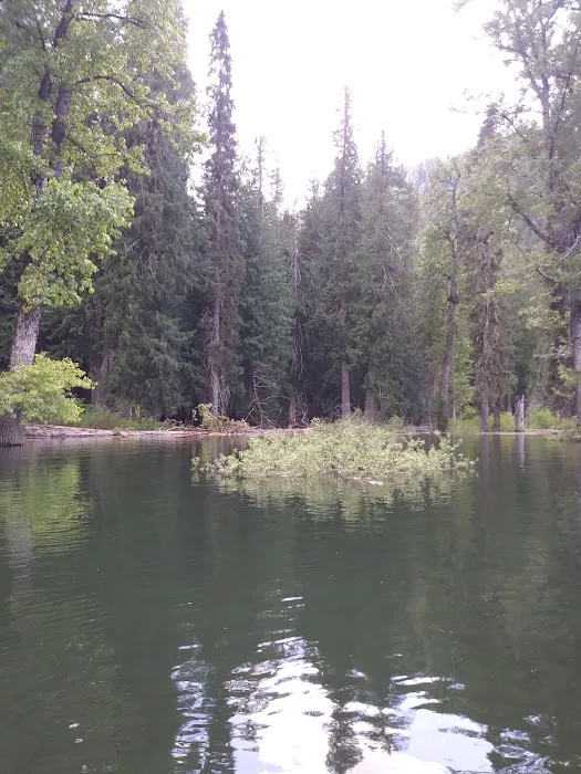 Spar Lake Campground Picture 6