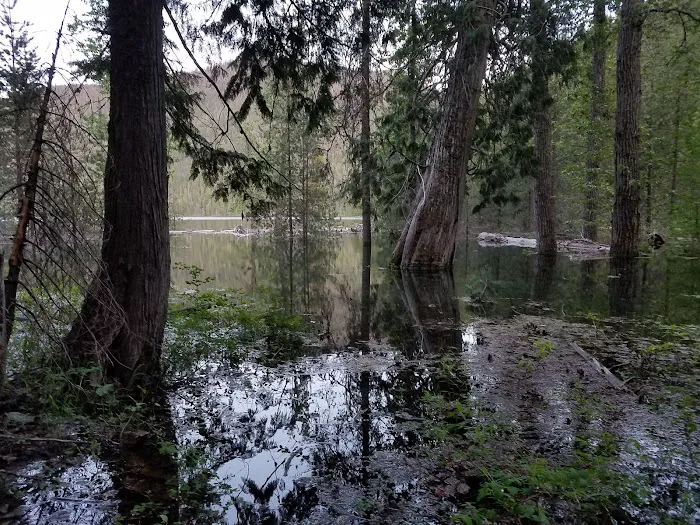 Spar Lake Campground Picture 8