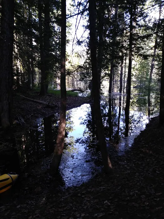 Spar Lake Campground Picture 4