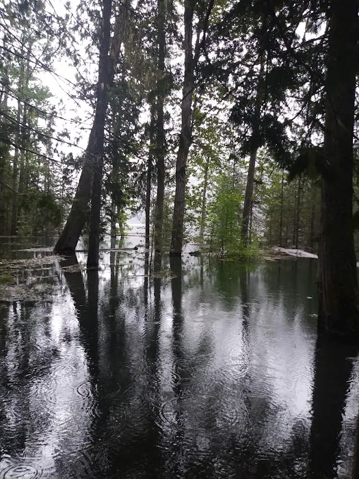 Spar Lake Campground Picture 2