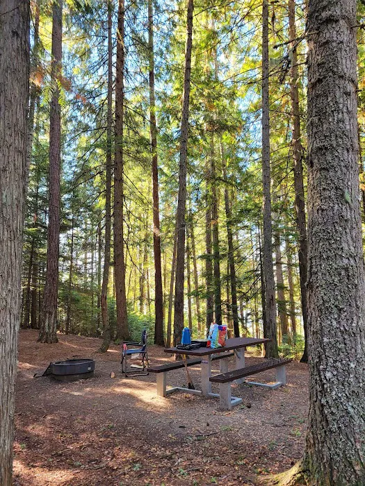 Bad Medicine Campground Picture 6