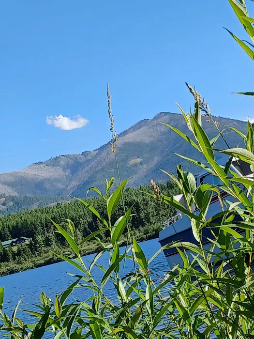 Bad Medicine Campground Picture 2